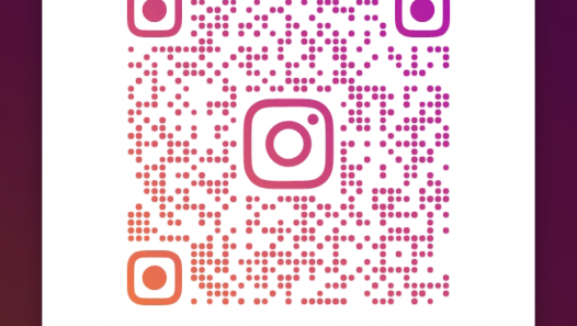 imagen Instagram Colegio de Lenguas