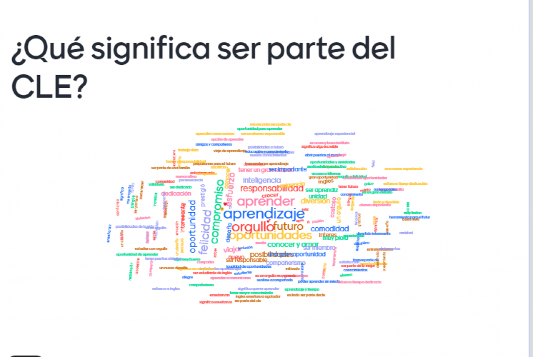 imagen ¿Qué significa para vos ser parte del CLE?